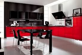 black kitchen: design features, color