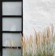 Aesthetic Beige Vibes Pampas Aesthetic Beige
