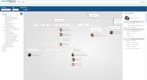 the perfect organizational chart maker discover the org