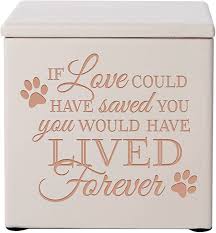 Carpel himalayan rock salt urn. Amazon Com Cremation Urns For Pets Small Memorial Keepsake Box For Dogs And Cats Urn For Pet Ashes If Love Could Have Saved You You Would Have Lived Forever Holds Small Portion Of Ashes Ivory Home Kitchen