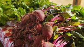 Webb City Farmers Market