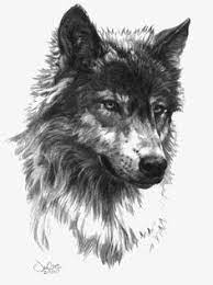 Lobo Tribal Wolf Tattoo Wolf Tattoo Design Wolf Tattoo Designs