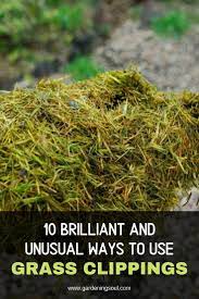 10 Brilliant And Unusual Ways To Use Grass Clippings Grass Clippings Grass Fertilizer Growing Grass