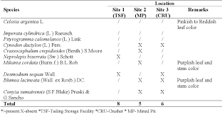 Image result for Crepidorhopalon tenuis