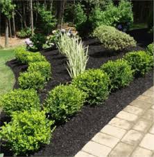 A small ornamental tree can be located near the house corner so that it visually overlaps the edge of the house, yet does not actually touch the house at maturity. The 10 Must Have S In Your Landscape 1 Foundation Plants