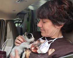 Associated Humane Popcorn Park Shelter