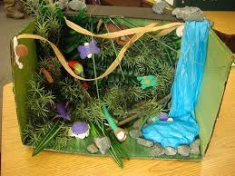 Biome In A Box Tropical Rainforest 140 365 His Diorama The Rainforest Rainforest Project School Crafts Christmas Crafts