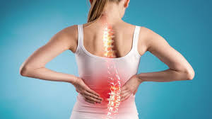 Cây đại tướng quân có tác dụng gì đối với sức khỏe? | Hoàn Mỹ