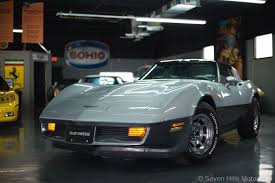 Image result for Silver 1981 Corvette