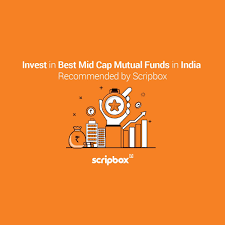 Best Small And Midcap Mutual Funds: Consistent Performers For Investment In  2015