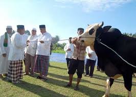 Boleh, dengan tujuan mendidik anak melakukannya dan (dalam masa yang sama) ibubapa harus membimbing anak tersebut untuk berniat korban. Tiga Keutamaan Melakukan Ibadah Kurban Bincang Syariah