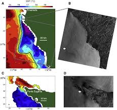 Ecology of the Ocean Sunfish, Mola mola, in the southern California Current  System
