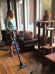 No Bowl Feeding System Didn T Go Exactly As I Had Planned Animal Medical New City