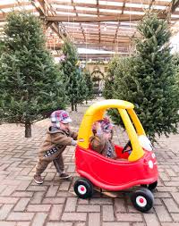 We did not find results for: Let S Celebrate Merry Christmas 2019 Second City Mom