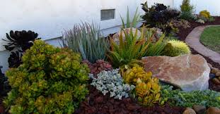 Check spelling or type a new query. Ultimate Guide To Succulents Types Of Succulents World Of Succulents
