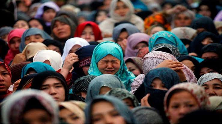 Image result for The killings of Hazaras"