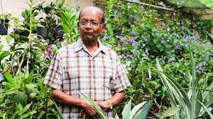 The scandinavian tropica scandi sell a nice variety of cactus seeds and all of the ones i bought (a. Catapult Life Lessons With The Cacti Uncle Of Sri Lanka Zinara