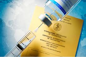 The eu digital vaccine passport is part of the infamous id2020 project sponsored by the global these figures correspond to the beginning of the most important vaccine program in world history. Ist Die Corona Impfung Ohne Impfpass Moglich