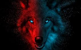 Available in hd, 4k and 8k resolution for desktop and mobile. Wolf Wallpaper 4k Scary Gradient Dark Background Animals 4779