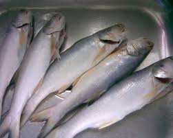 Bagi penggemar masakan pedas, makan masakan ayam masak sambal hijau dengan nasi putih kosong pun sedap. Sweet Memories Ikan Senangin Masak Asam