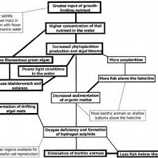 A Conceptual Flow Model Of The Eutrophication Process After