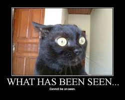 What Has Been Seen Cannot Be Unseen Know Your Meme