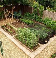 Nov 06, 2020 · you can start small, dip a toe in the water and see how you enjoy farming on a micro scale, using whatever you can glean from your monthly household budget to invest in the farm. 15 Lovely Homestead Farm Garden Layout And Design Ideas Vegetable Garden Design Garden Layout Vegetable Garden Layout