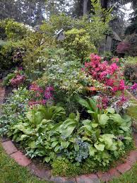 A Lively Colorful Shade Garden In The Pacific Northwest Finegardening Shade Garden Design Shade Garden Plants Shade Garden