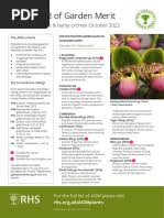 Image result for Summerhayesia zambesiaca