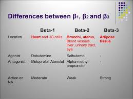 Difference Between Beta 1 Beta2 Beta 3 Paramedic Emt Rn Nurse Emergency Medical Techician Ems Paramedic School Emergency Nursing Emt Study