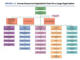 human resources organizational chart human resources and