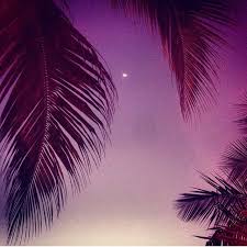You can also upload and share your favorite purple sky wallpapers. Purple Night Sky Pictures Photos And Images For Facebook Tumblr Pinterest And Twitter
