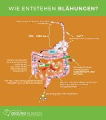 Blahungen Naturheilpraxis Gesund In Berlin