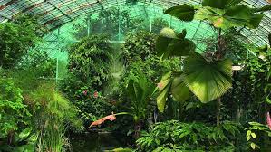 Le Jardin Des Serres D Auteuil Plant Leaves Paris Biarritz