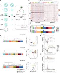 Monozygotic twins are called identical, and dizygotic twins are called fraternal. Single Cell Multiomics Sequencing Reveals The Functional Regulatory Landscape Of Early Embryos Biorxiv