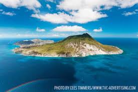 Image result for Staudtia