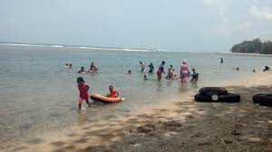 We did not find results for: Sambut Matahari Pagi Di Surga Tersembunyi Pantai Sindang Kerta Tasikmalaya Regional Liputan6 Com