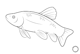 Gambar Mewarnai Ikan Untuk Anak Anak Ikan Gambar