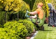 What Are the Environmental Benefits of Green Landscaping?