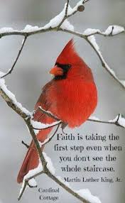 Pin By Barbara English On Cardinals Birds Faith Quotes Christian Quotes Birds