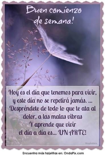 17 ideas de Feliz inicio de semana | buen inicio de semana frases positivas, bendecido lunes e inicio de semana, buenos días feliz inicio de semana
