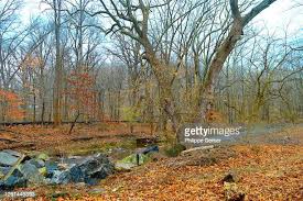 24 Philippe Newlin Stock Photos, High-Res Pictures, and Images