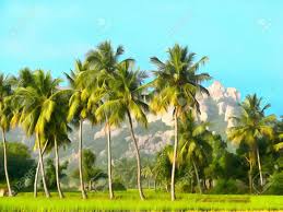 Gp road 600002 chennai, tamil nadu, indien. Aquarell Illustration Schone Palmen Indien Tamil Nadu Lizenzfreie Fotos Bilder Und Stock Fotografie Image 55862806