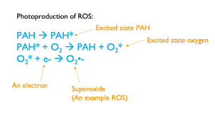 Accepted submissions will be presented as clear, concise reports of current research for a readership concerned with environmental contamination and toxicology. Science In The Time Of Coronavirus Phototoxicity Some Notes On Environmental Chemistry From Danielle H Freeman