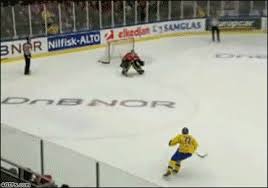 Our goal is to make hockey as fun about as it is to watch. Some Hockey Goals Album On Imgur