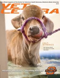 Vet Cetera 2015 by Oklahoma State