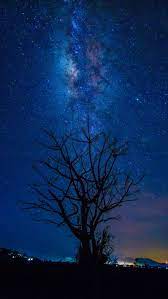 Find images of dark blue sky. Beautiful Image By Zukiman Mohamad Blue Sky Wallpaper Dark Tree Night Sky Wallpaper