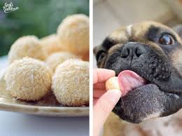 Rezept Kokoskugeln Fur Hunde Hunde Kekse Rezept Hunde Kuchen Und Hundekekse
