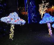 Quality Assurance Factory Customized Outdoor 3D LED Christmas Decoration  LED Motif Lights Mushroom