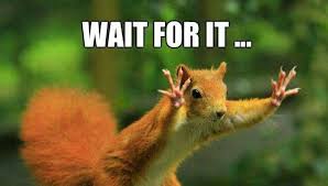 images?q=tbn:ANd9GcSVptumXDZOCBrGiJTnkgp